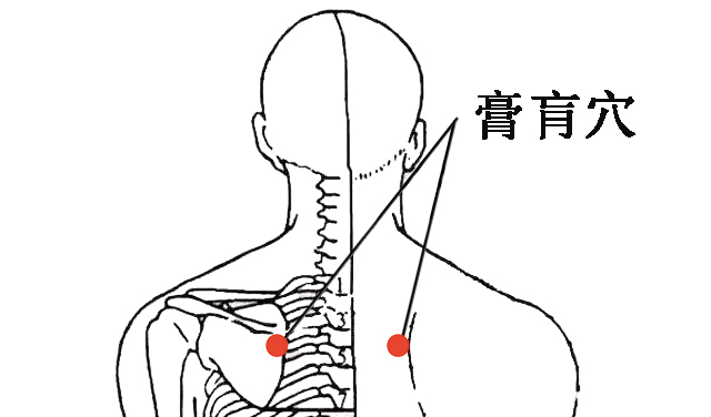 此穴無所不治，經常針灸可遠離重大疾?。?/></span></p><p style=